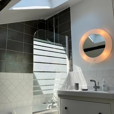 Chez Virginie, Superbe Duplex Entierement Refait A Neuf Апартаменты *